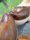 En la tienda de madera .com puedes comprar online madreas.  La madrea es el calzado de madera tradicional de Asturias, son hermanas de la zoca (Galicia), la albarca (Cantabria) y el zueco (clog, sabot, klomp)