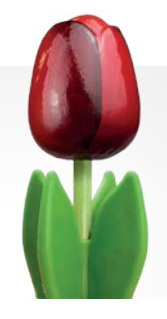 En la tienda de madera .com puedes comprar online flores de madera. Ideal para San Valentn, el da de la madre o cualquier otro da que quieras sorprender con un regalo original.