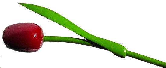 En la tienda de madera .com puedes comprar online flores de madera. Ideal para San Valentn, el da de la madre o cualquier otro da que quieras sorprender con un regalo original.