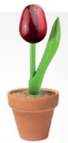 En la tienda de madera .com puedes comprar online flores de madera. Ideal para San Valentn, el da de la madre o cualquier otro da que quieras sorprender con un regalo original.