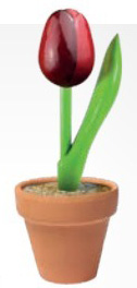 En la tienda de madera .com puedes comprar online flores de madera. Ideal para San Valentn, el da de la madre o cualquier otro da que quieras sorprender con un regalo original.