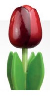 En la tienda de madera .com puedes comprar online flores de madera, un regalo colorido y original.