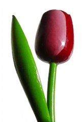 En la tienda de madera .com puedes comprar online flores de madera. Ideal para San Valentín, el día de la madre o cualquier otro día que quieras sorprender con un regalo original.